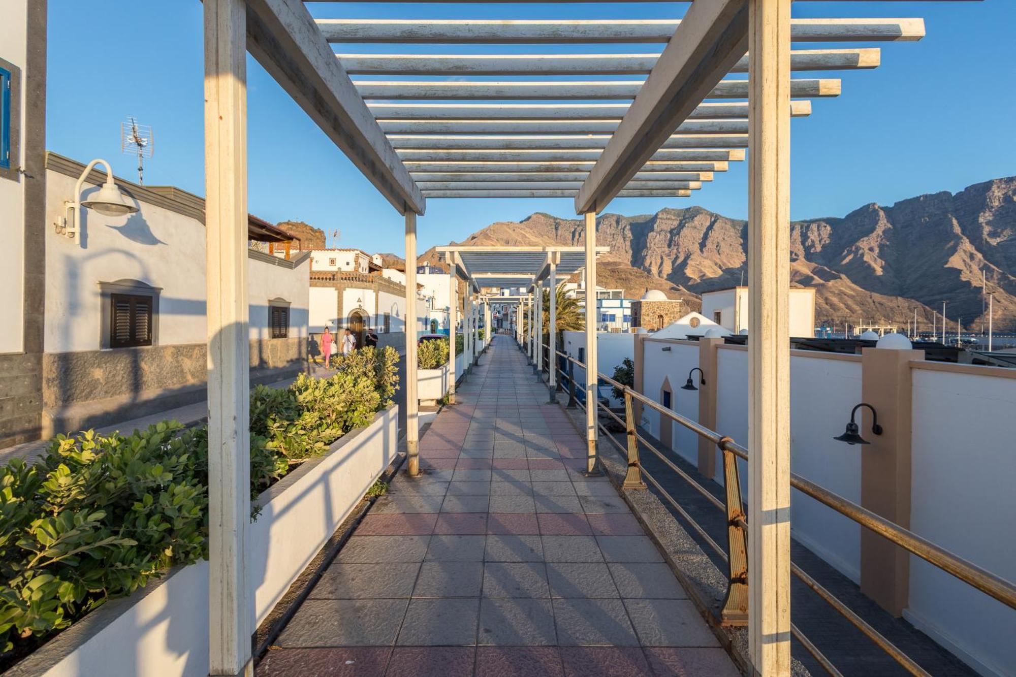 Casa Rural Villa Janeth Con Amplia Terraza Agaete 阿格特 外观 照片